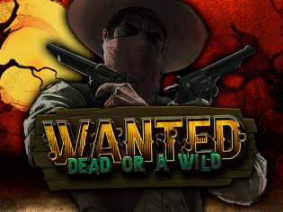Слот Wanted Dead or a Wild